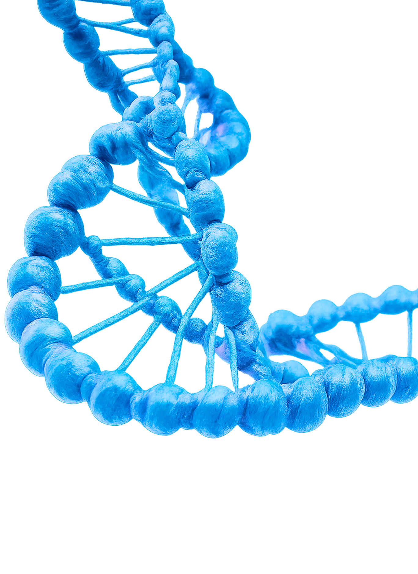 Hero DNA illustration mobile